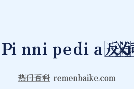 Pinnipedia反义词是什么意思的图片